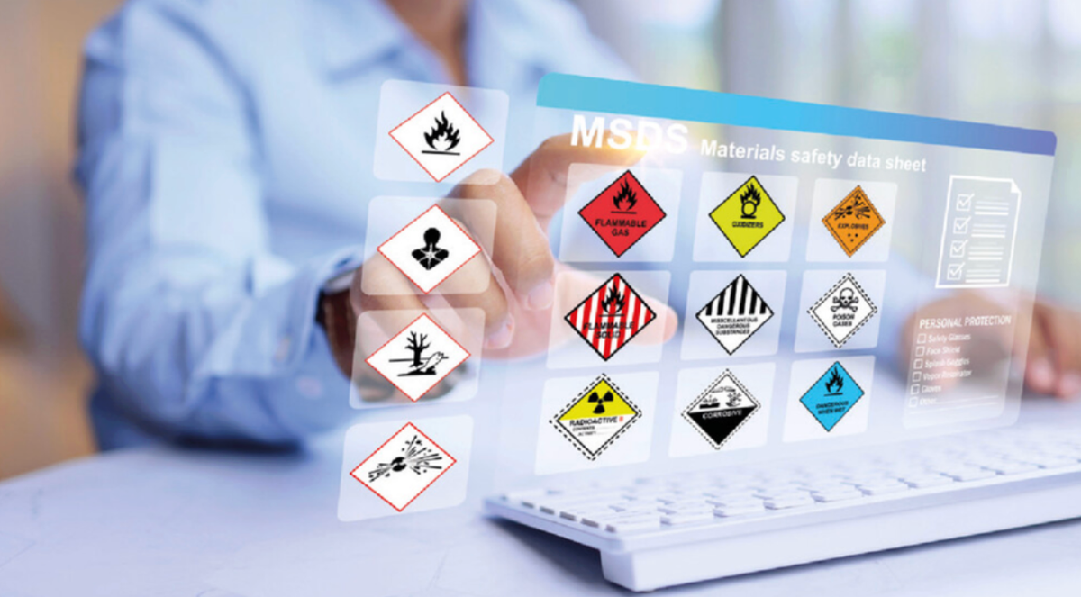 FDS - FICHA COM DADOS DE SEGURANÇA